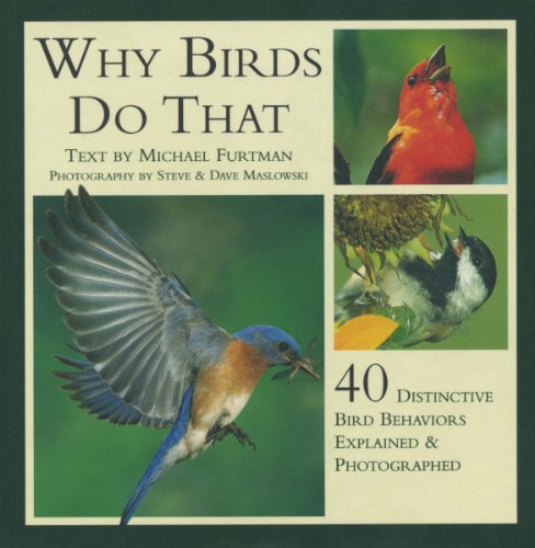 Beispielbild fr Why Birds Do That: 40 Distinctive Bird Behaviors Explained Photographed zum Verkauf von Books of the Smoky Mountains