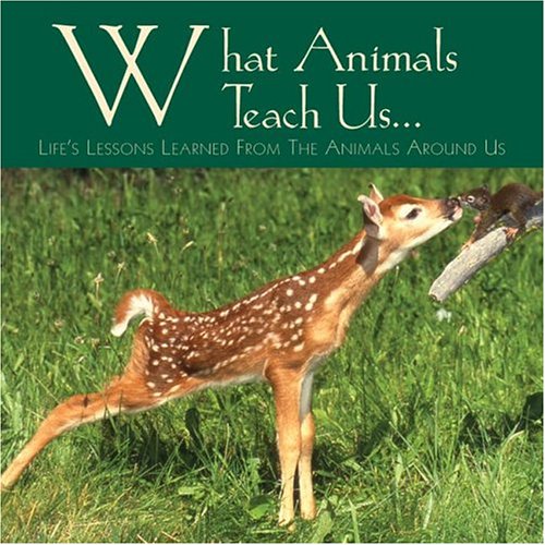 9781595430601: What Animals Teach Us: Life's Lessons Learned From the Animals Around Us