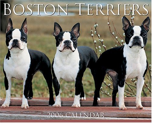 Just Boston Terriers 2006 16-Month Wall Calendar (9781595430755) by Press, Willow Creek