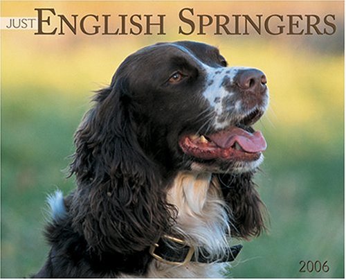 Just English Springer Spaniels 2006 16-Month Wall Calendar (9781595430885) by Press, Willow Creek