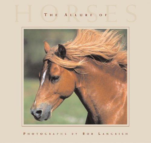Stock image for The Allure Of Horses for sale by New Legacy Books