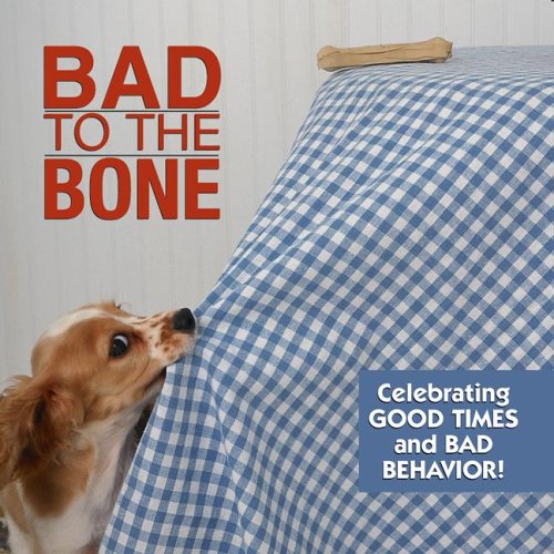 Stock image for Bad to the Bone: Celebrating Good Times and Bad Behavior! for sale by Wonder Book