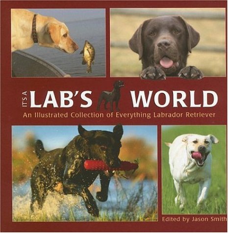 Stock image for It's a Lab's World : The Illustrated Collection of Everything Labrador Retriever for sale by Better World Books: West