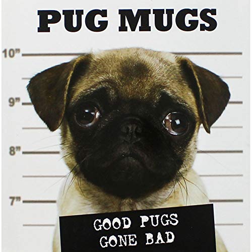 Beispielbild fr Pug Mugs : Good Pugs Gone Bad zum Verkauf von Better World Books