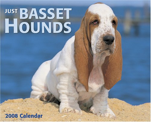 9781595434647: Just Basset Hounds 2008 Calendar