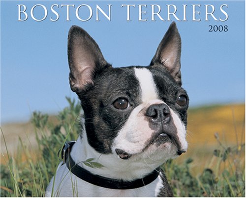 Just Boston Terriers 2008 Calendar (9781595434715) by Willow Creek Press