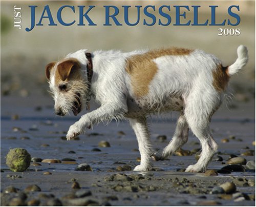 Just Jack Russells 2008 Calendar (9781595435187) by Willow Creek Press