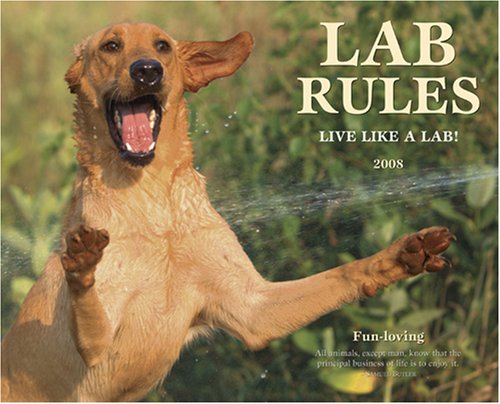 Lab Rules 2008 Calendar (9781595435224) by Willow Creek Press