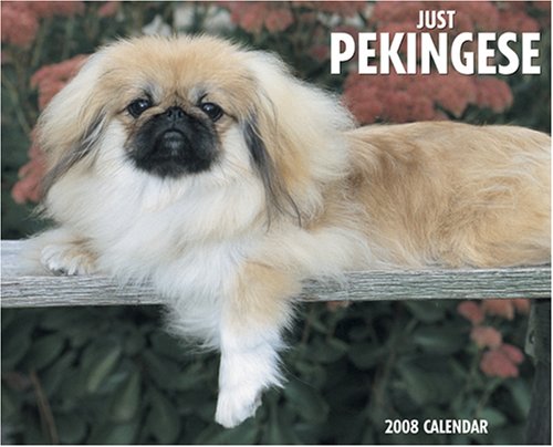 Just Pekingese 2008 Calendar (9781595435385) by Willow Creek Press