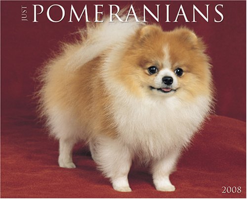 Just Pomeranians 2008 Calendar (9781595435422) by Willow Creek Press