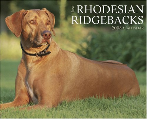 Just Rhodesian Ridgebacks 2008 Calendar (9781595435484) by Willow Creek Press