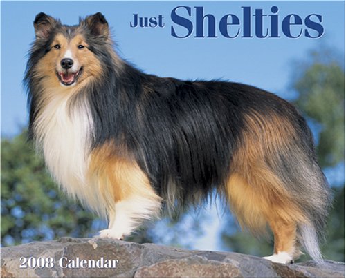 Just Shelties 2008 Calendar (9781595435545) by Willow Creek Press