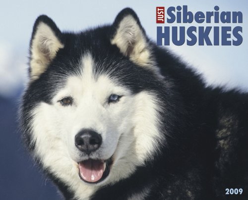 9781595437341: Just Siberian Huskies 2009 Calendar