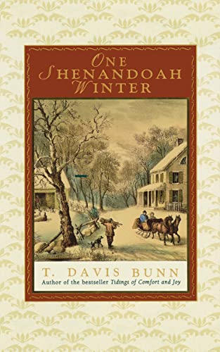 9781595548313: One Shenandoah Winter