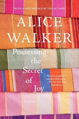 Stock image for Possessing the Secret of Joy: A Novel for sale by Goodwill