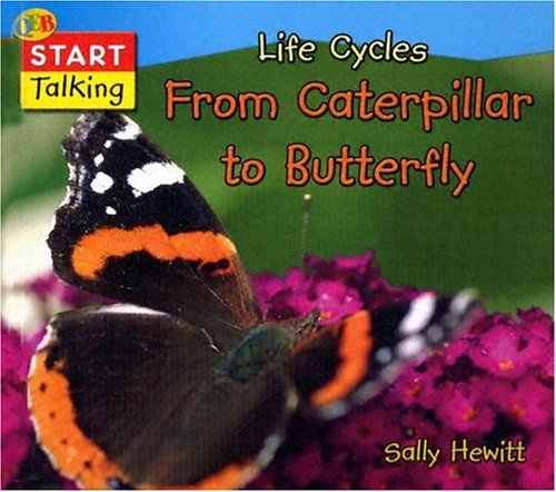 Beispielbild fr Life Cycles : From Caterpillar to Butterfly zum Verkauf von Better World Books