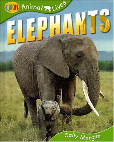 9781595660329: Elephants (QEB Animal Lives)