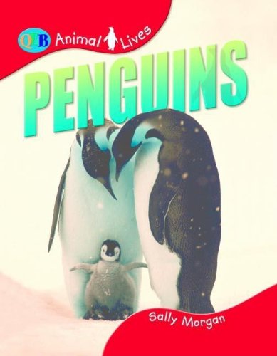 Penquins (QEB Animal Lives) (9781595660374) by Morgan, Sally