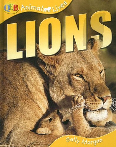 Imagen de archivo de Lions a la venta por Better World Books