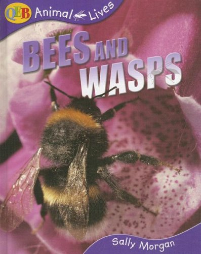 Bees and Wasps (Qeb Animal Lives) (9781595662026) by Morgan, Sally