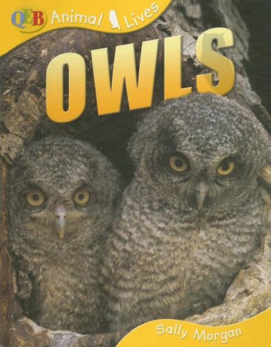 Owls (Qeb Animal Lives) (9781595662033) by Morgan, Sally