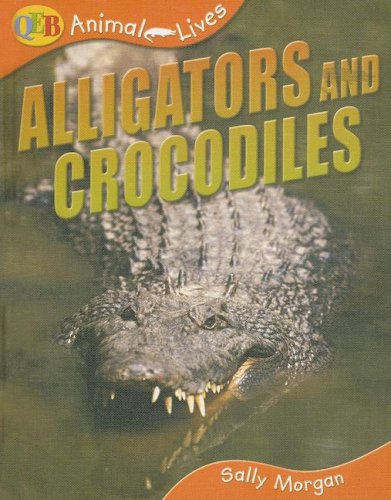 Alligators and Crocodiles (Qeb Animal Lives) (9781595662057) by Morgan, Sally