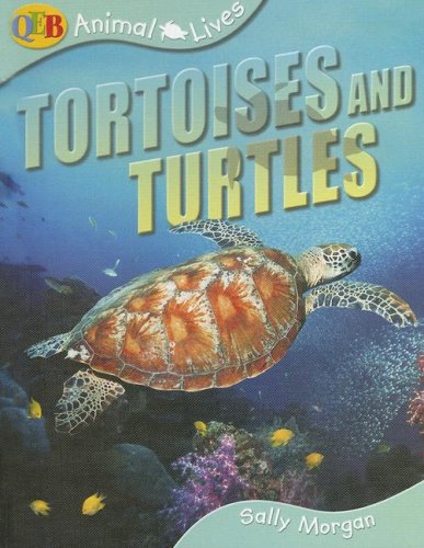 Animal Lives Tortoises and Turtles (Qeb Animal Lives) (9781595662064) by Morgan, Sally