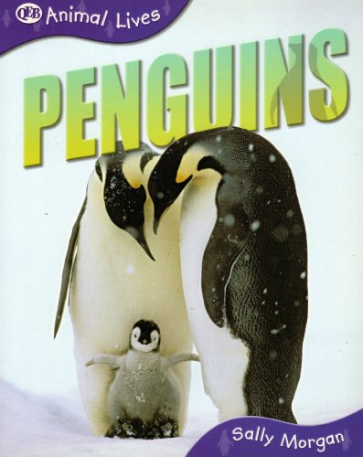 Stock image for Books Are Fun 8 Title Animal Lives Set : Penguins for sale by Better World Books