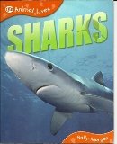 Beispielbild fr Sharks QEB Animal Lives zum Verkauf von Wonder Book