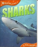 Stock image for Sharks QEB Animal Lives for sale by Orion Tech