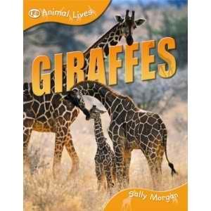 Giraffes (QEB Animal Lives) (9781595664983) by Sally Morgan