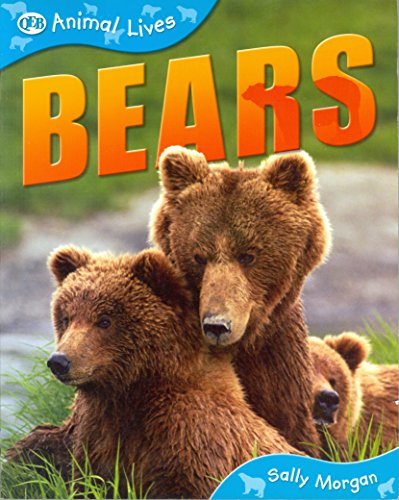 Beispielbild fr Bears (QEB Animal Lives) zum Verkauf von Better World Books