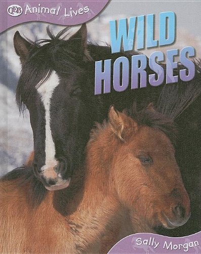 Wild Horses (Animal Lives) (9781595665393) by Morgan, Sally
