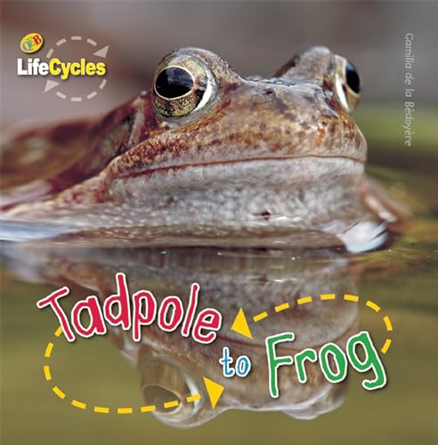 Tadpole to Frog (LifeCycles) - Camilla de la Bedoyere
