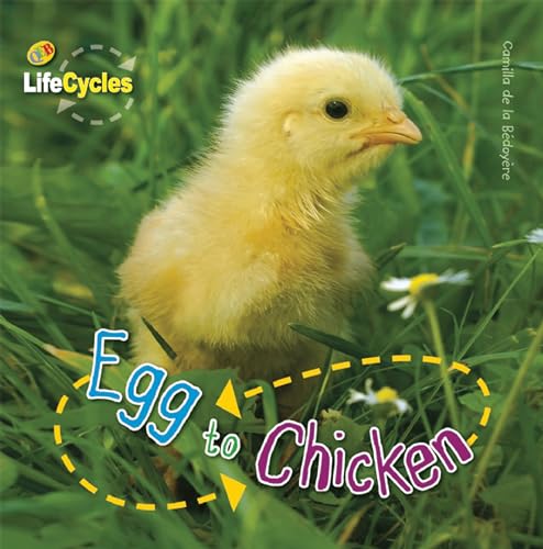 Egg to Chicken (LifeCycles) - De La Bedoyere, Camilla