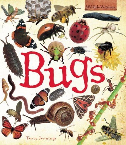 Beispielbild fr Bugs zum Verkauf von Better World Books