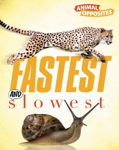 Fastest and Slowest (Qeb Animal Opposites) - Camilla de la Bedoyere