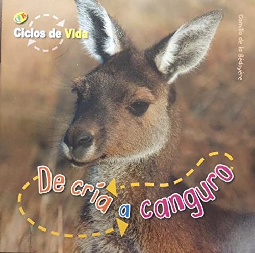 Stock image for Lifecycles Joey to Kangaroo ScholBC Spanish for sale by SecondSale