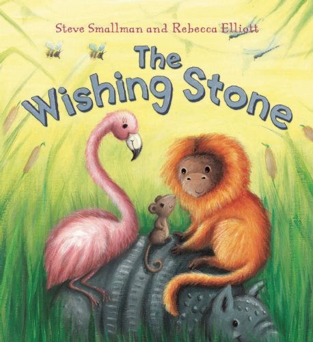 9781595668608: The Wishing Stone (QEB Storytime)