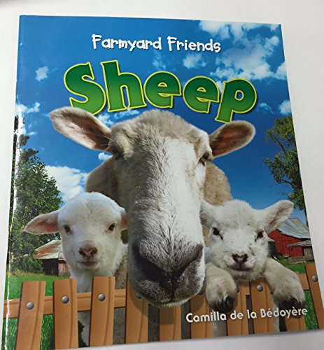Beispielbild fr Sheep zum Verkauf von Wonder Book