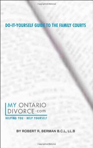 9781595713261: Do-It-Yourself Guide to the Family Courts