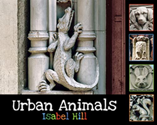 Imagen de archivo de Urban Animals a la venta por Better World Books