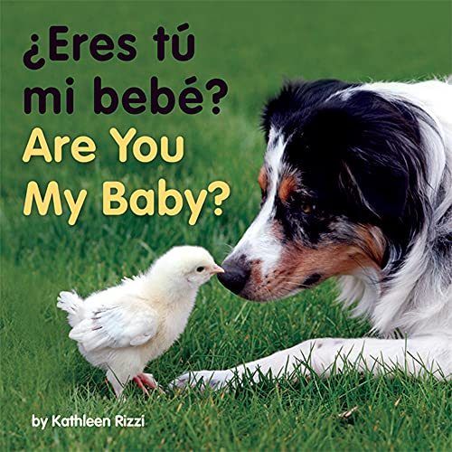 9781595722591: Are You My Baby? (Photoflaps Boardbooks)