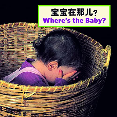 Stock image for Where's the Baby? for sale by Revaluation Books