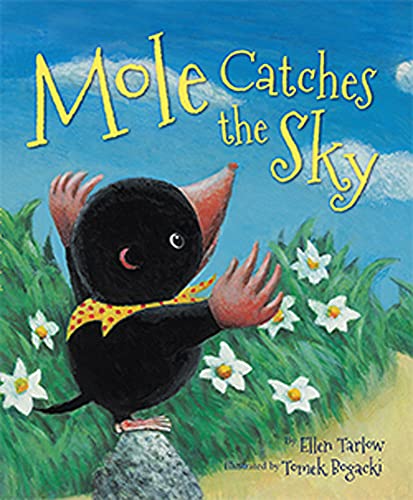 Mole Catches the Sky (9781595726575) by Tarlow, Ellen