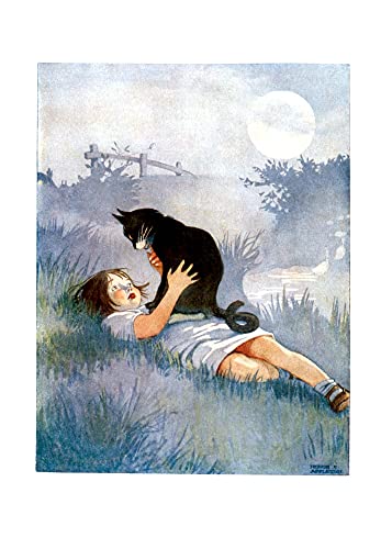 9781595836694: Girl talking to her cat - Friendship Greeting Card