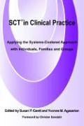 9781595940445: Sct in Clinical Practice: Applying the Systems-centered Approach With Individuals, Families, And Groups