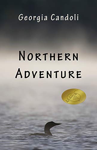 Beispielbild fr Northern Adventure zum Verkauf von Bookmans