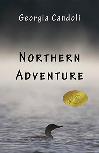 Stock image for Northern Adventure for sale by Bookmans
