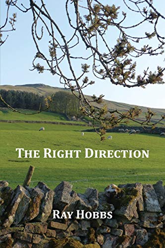 Imagen de archivo de The Right Direction a la venta por WorldofBooks